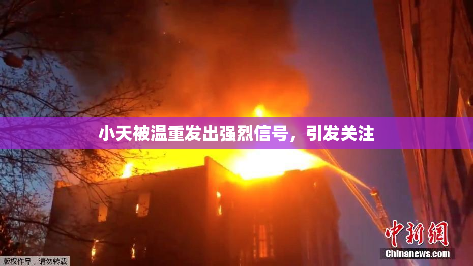 小天被温重发出强烈信号，引发关注