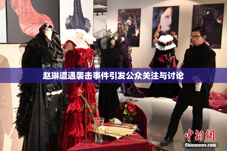 赵琳遭遇袭击事件引发公众关注与讨论