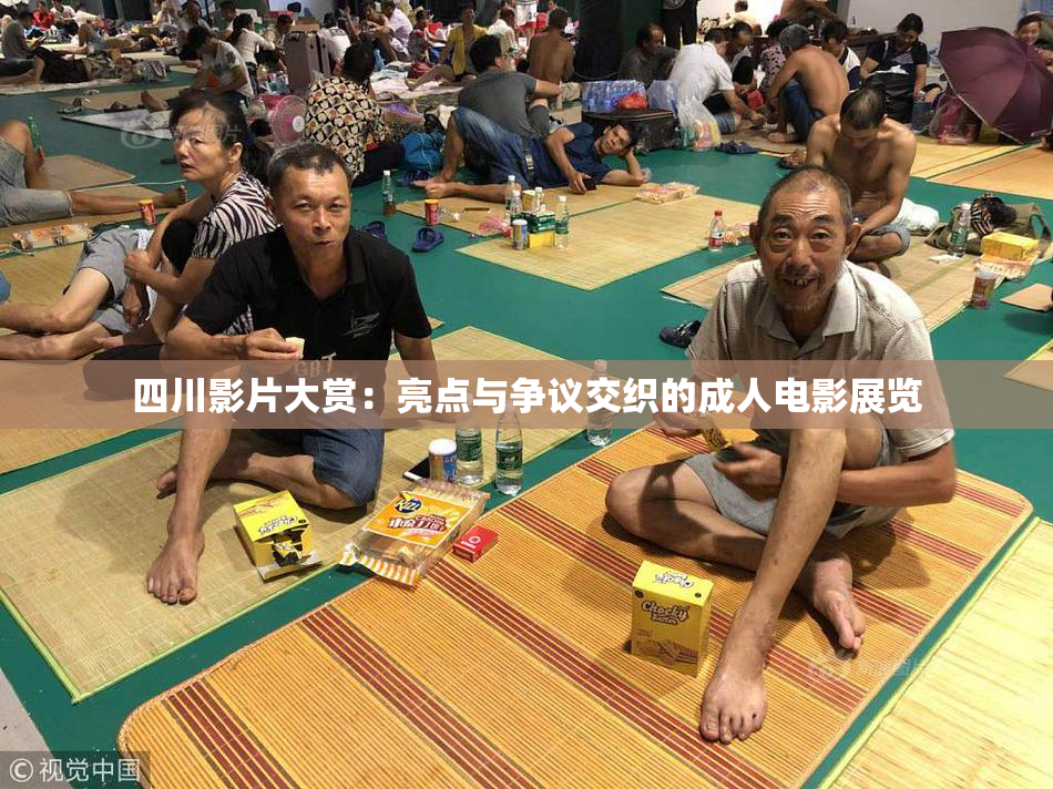 四川影片大赏：亮点与争议交织的成人电影展览