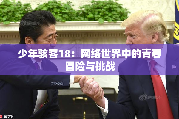 少年骇客18：网络世界中的青春冒险与挑战