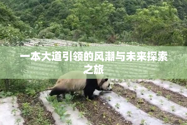 一本大道引领的风潮与未来探索之旅