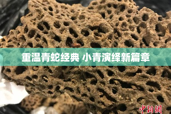 重温青蛇经典 小青演绎新篇章