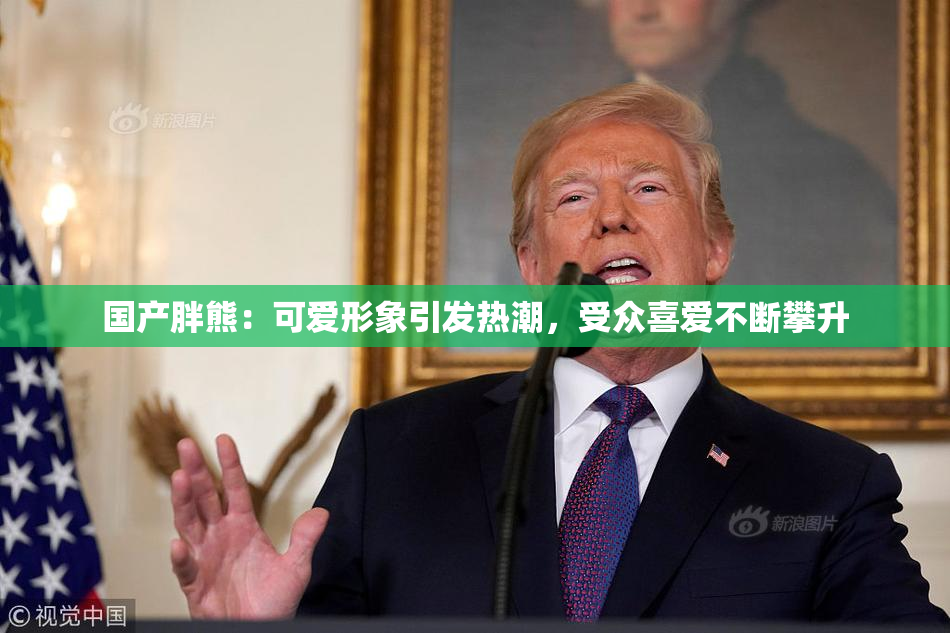 国产胖熊：可爱形象引发热潮，受众喜爱不断攀升
