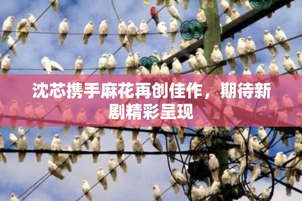 沈芯携手麻花再创佳作，期待新剧精彩呈现