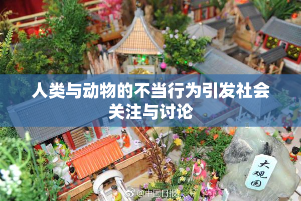 人类与动物的不当行为引发社会关注与讨论