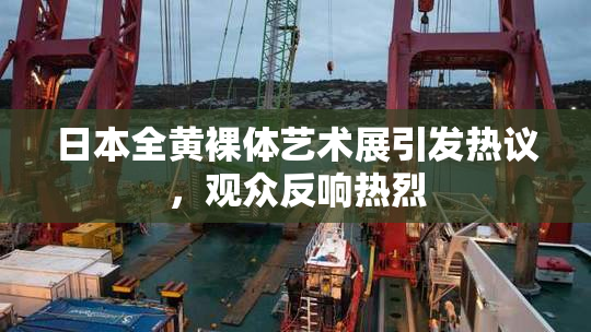 日本全黄裸体艺术展引发热议，观众反响热烈
