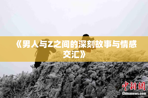 《男人与Z之间的深刻故事与情感交汇》