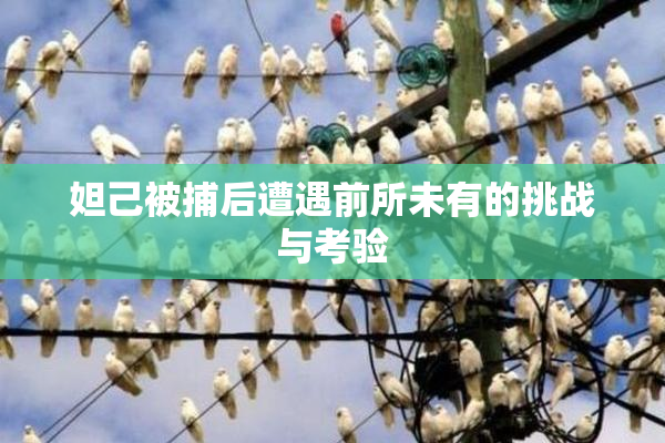 妲己被捕后遭遇前所未有的挑战与考验