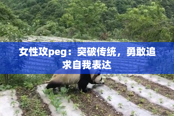 女性攻peg：突破传统，勇敢追求自我表达
