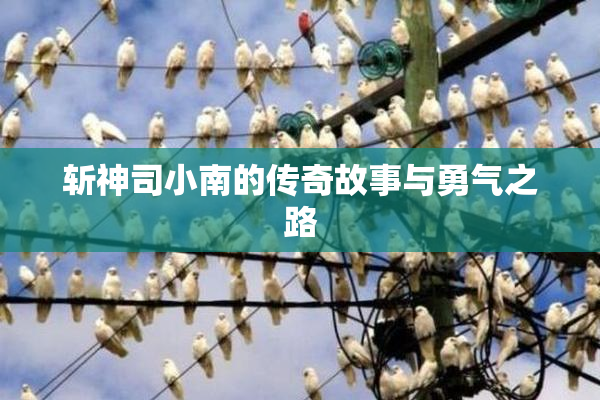 斩神司小南的传奇故事与勇气之路