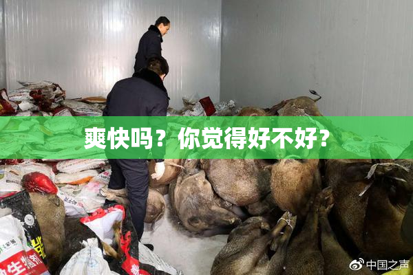 爽快吗？你觉得好不好？