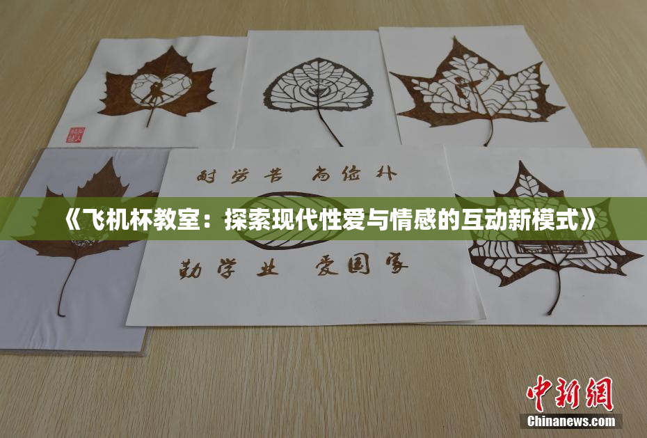 《飞机杯教室：探索现代性爱与情感的互动新模式》