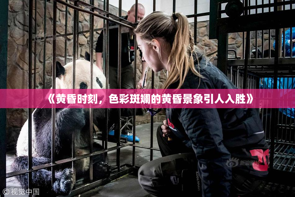 《黄昏时刻，色彩斑斓的黄昏景象引人入胜》