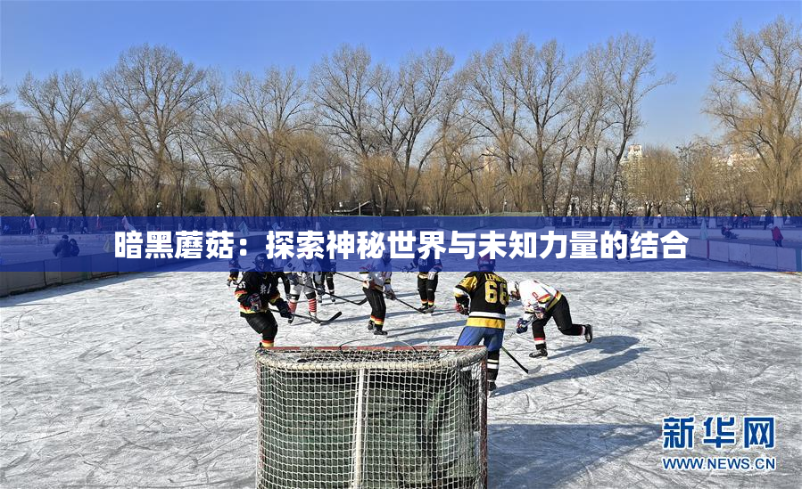 暗黑蘑菇：探索神秘世界与未知力量的结合