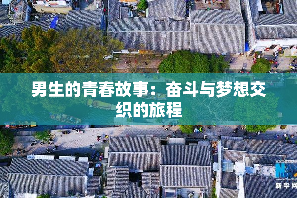 男生的青春故事：奋斗与梦想交织的旅程
