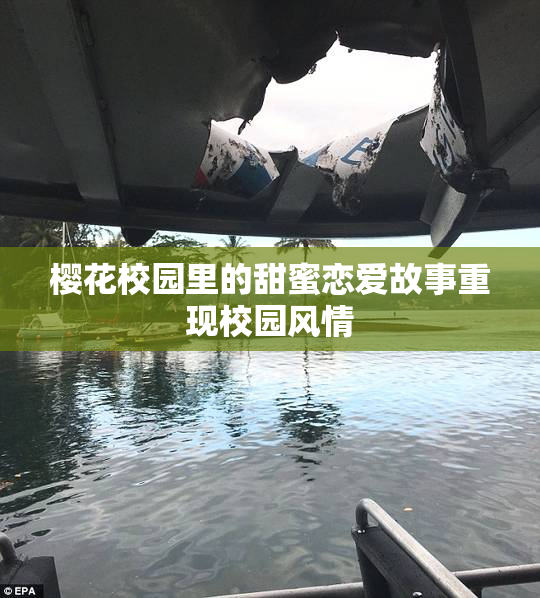 樱花校园里的甜蜜恋爱故事重现校园风情