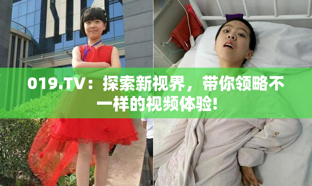 019.TV：探索新视界，带你领略不一样的视频体验!