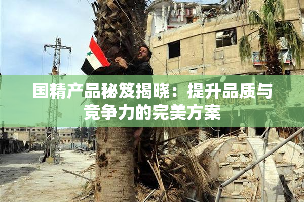 国精产品秘笈揭晓：提升品质与竞争力的完美方案