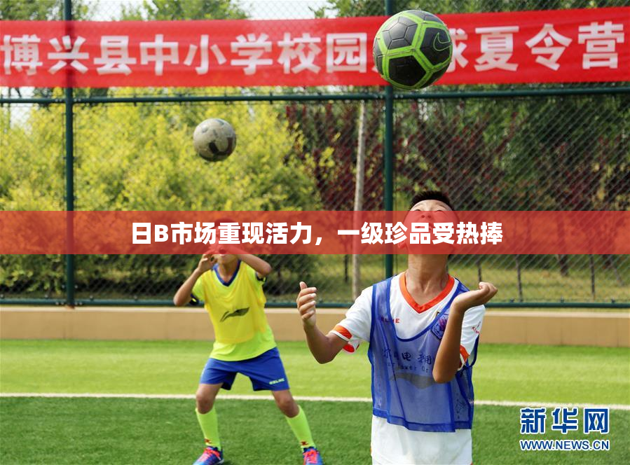 日B市场重现活力，一级珍品受热捧
