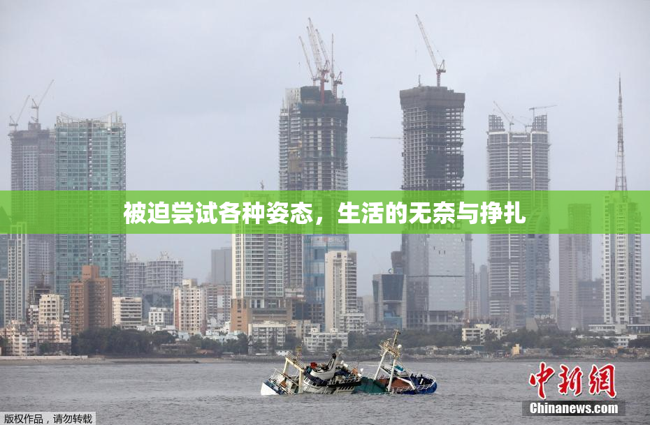 被迫尝试各种姿态，生活的无奈与挣扎