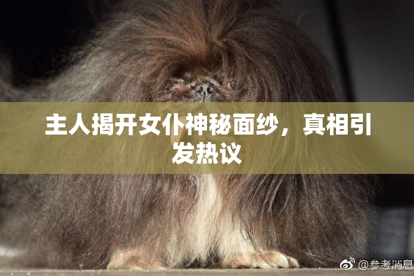 主人揭开女仆神秘面纱，真相引发热议