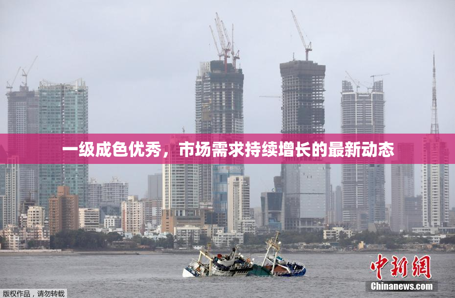 一级成色优秀，市场需求持续增长的最新动态
