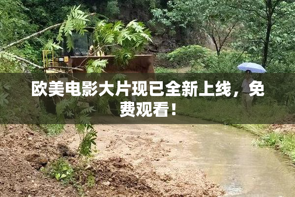 欧美电影大片现已全新上线，免费观看！