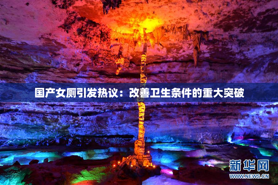 国产女厕引发热议：改善卫生条件的重大突破