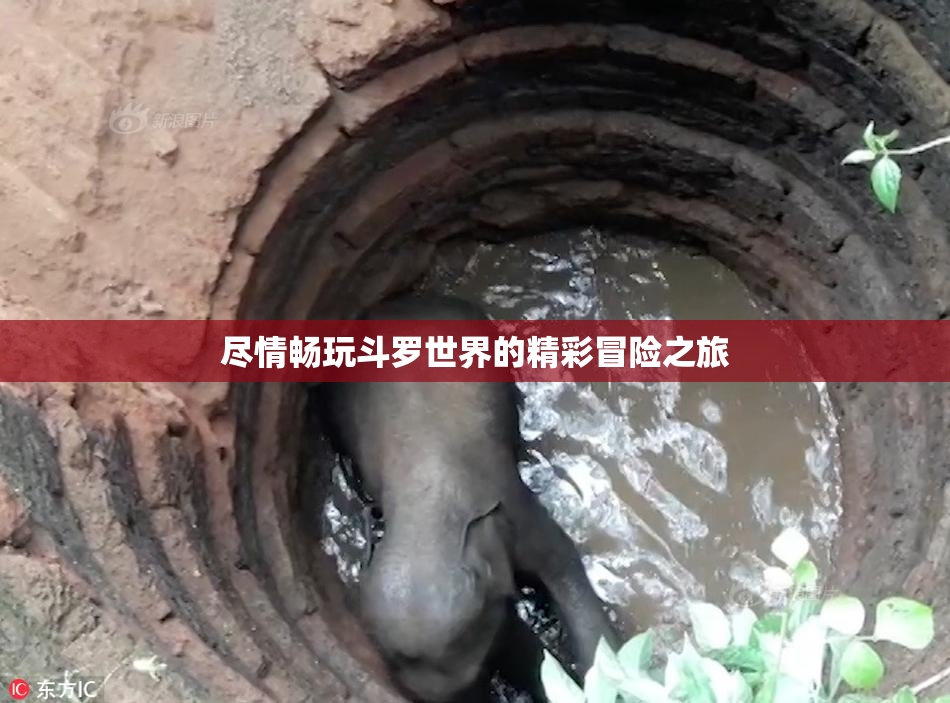 尽情畅玩斗罗世界的精彩冒险之旅