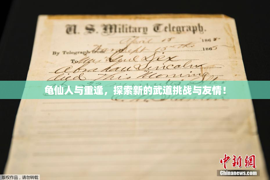 龟仙人与重逢，探索新的武道挑战与友情！