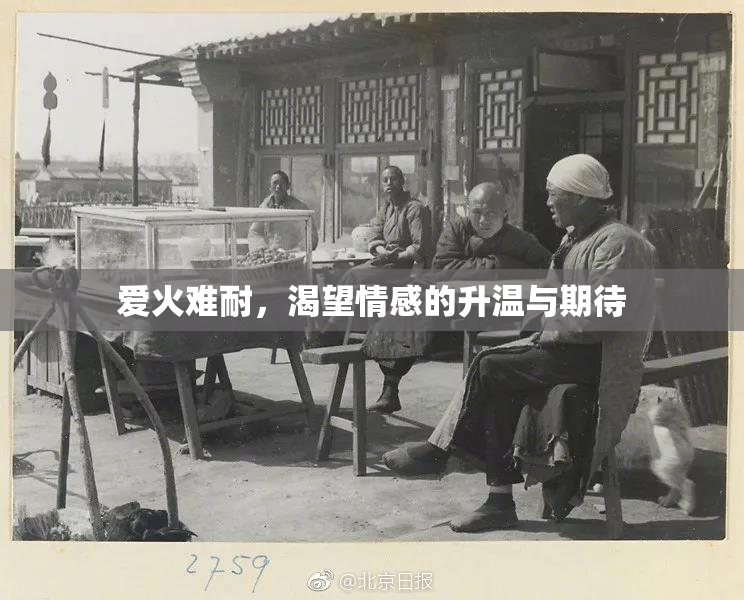 爱火难耐，渴望情感的升温与期待