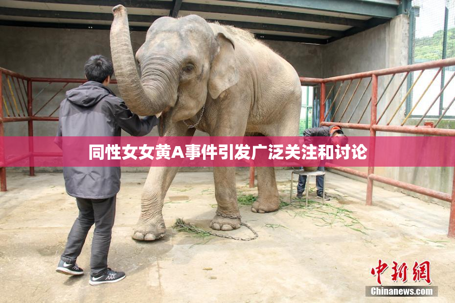 同性女女黄A事件引发广泛关注和讨论