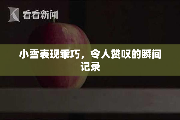 小雪表现乖巧，令人赞叹的瞬间记录