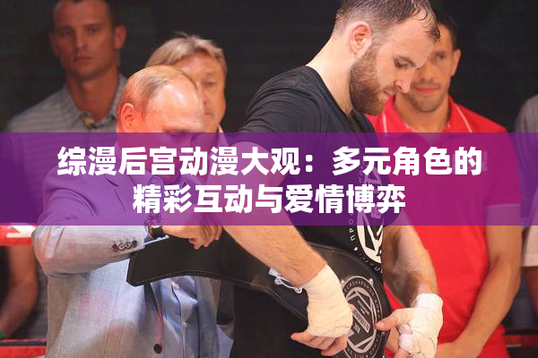 综漫后宫动漫大观：多元角色的精彩互动与爱情博弈
