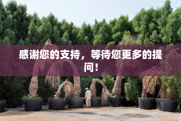 感谢您的支持，等待您更多的提问！