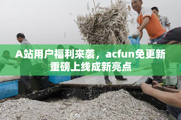 A站用户福利来袭，acfun免更新重磅上线成新亮点
