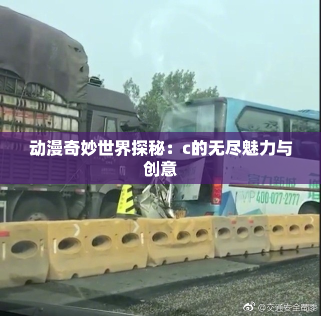动漫奇妙世界探秘：c的无尽魅力与创意