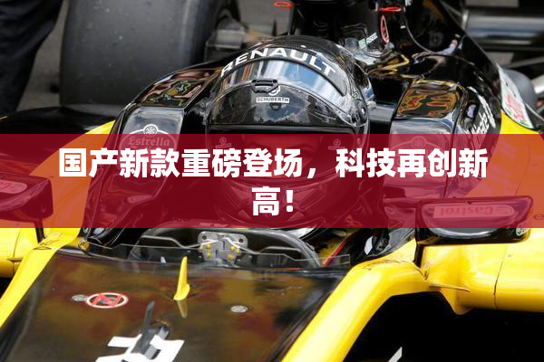 国产新款重磅登场，科技再创新高！
