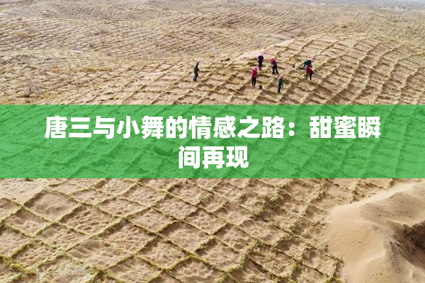 唐三与小舞的情感之路：甜蜜瞬间再现