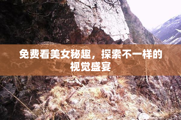 免费看美女秘趣，探索不一样的视觉盛宴