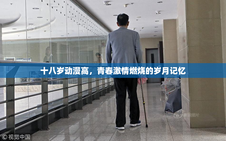 十八岁动漫高，青春激情燃烧的岁月记忆