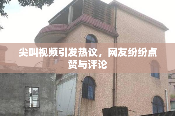 尖叫视频引发热议，网友纷纷点赞与评论