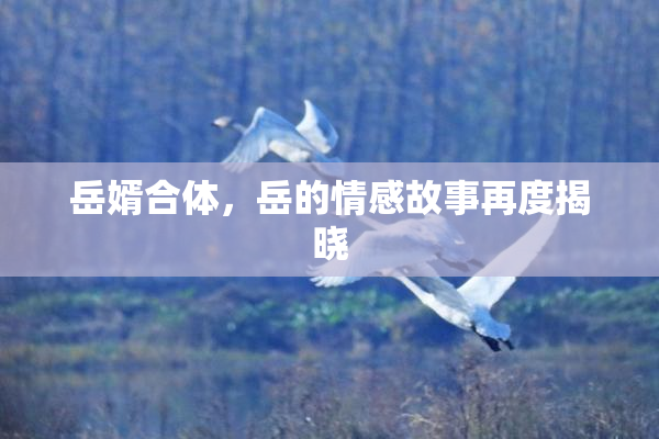 岳婿合体，岳的情感故事再度揭晓