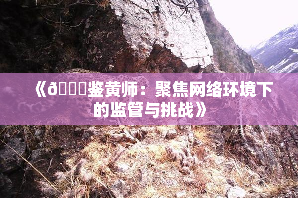 《🔞鉴黄师：聚焦网络环境下的监管与挑战》