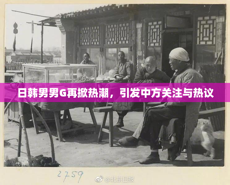 日韩男男G再掀热潮，引发中方关注与热议