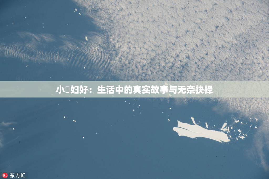 小婬妇好：生活中的真实故事与无奈抉择