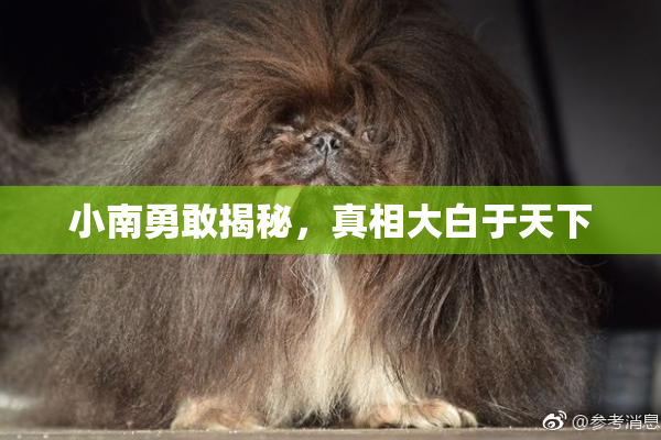 小南勇敢揭秘，真相大白于天下
