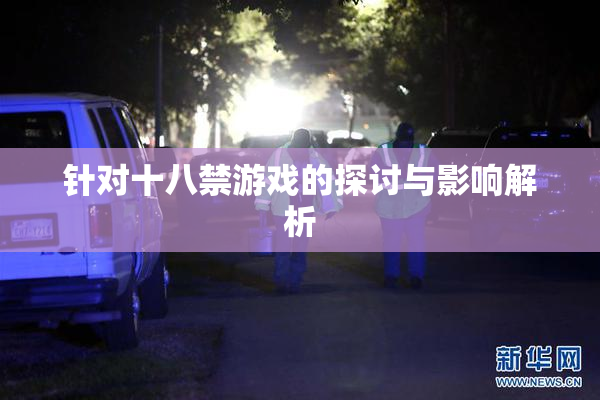 针对十八禁游戏的探讨与影响解析