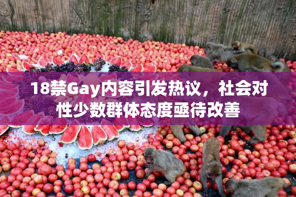 18禁Gay内容引发热议，社会对性少数群体态度亟待改善