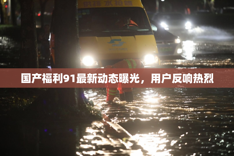 国产福利91最新动态曝光，用户反响热烈